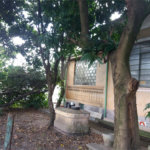 Terreno à venda com 3 quartos em Vila Guilherme, São Paulo, SP