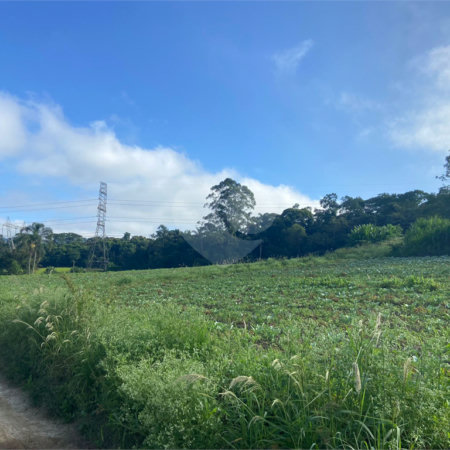 Terreno à venda em Parque Santa Rosa, Suzano, SP