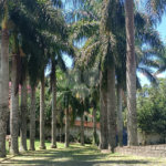 Casa à venda com 3 suítes em Jardim Haras Bela Vista, Vargem Grande Paulista, SP