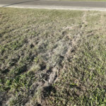 Terreno à venda no condomínio Terras de Santa Izabel, Salto - SP