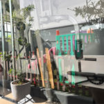 Apartamento à venda com 2 quartos, sendo 1 suíte, em Bosque da Saúde, São Paulo, SP