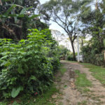 Terreno à venda em Serra da Cantareira, Mairiporã, SP