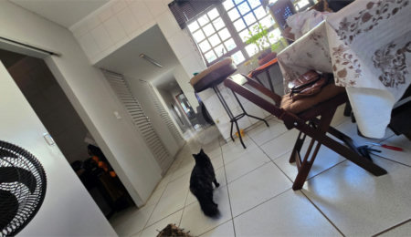 Salão à venda ou para alugar no Centro, Araraquara, SP