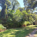 Terreno à venda no condomínio Alpes da Cantareira, Mairiporã - SP