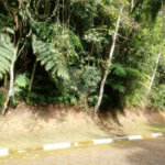 Terreno à venda em Roseira, Mairiporã, SP