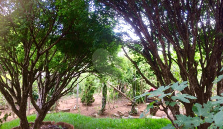 Casa à venda com 6 quartos, sendo 2 suítes,  no condomínio Parque da Fazenda, Itatiba - SP