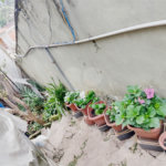 Sobrado à venda com 3 quartos em Tremembé, São Paulo, SP
