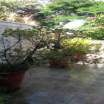 Casa à venda com 3 quartos, sendo 2 suítes, em Jardim Olympia, São Paulo, SP