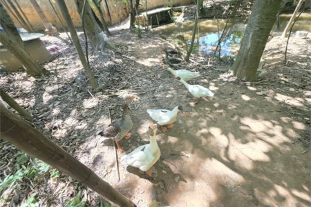 Casa para Locação no Condomínio Jardim América em Vinhedo/SP