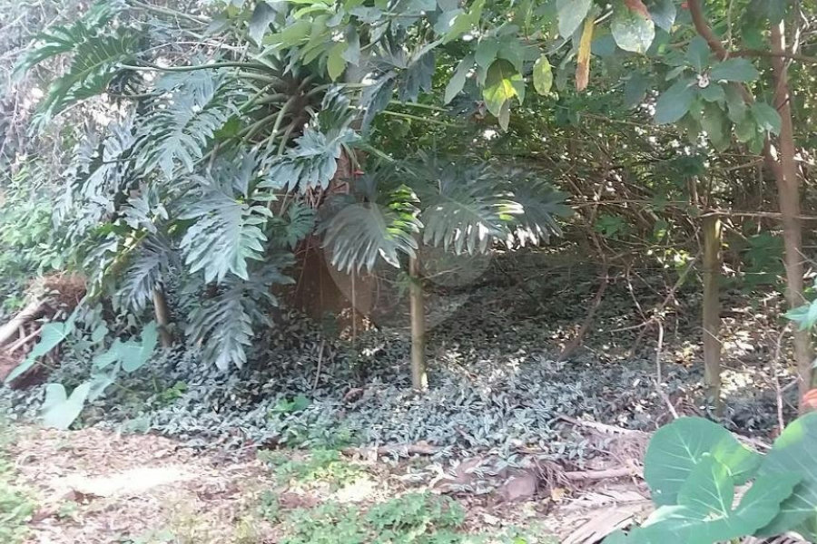 Terreno à venda em Tremembé, São Paulo, SP