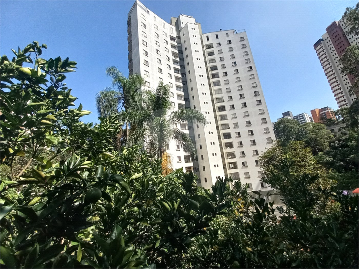 Apartamento à venda com 3 quartos, sendo 1 suíte, em Vila Andrade, São Paulo, SP