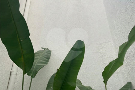 Sobrado à venda com 3 quartos, sendo 1 suíte,  em Vila Pires, Santo André, SP