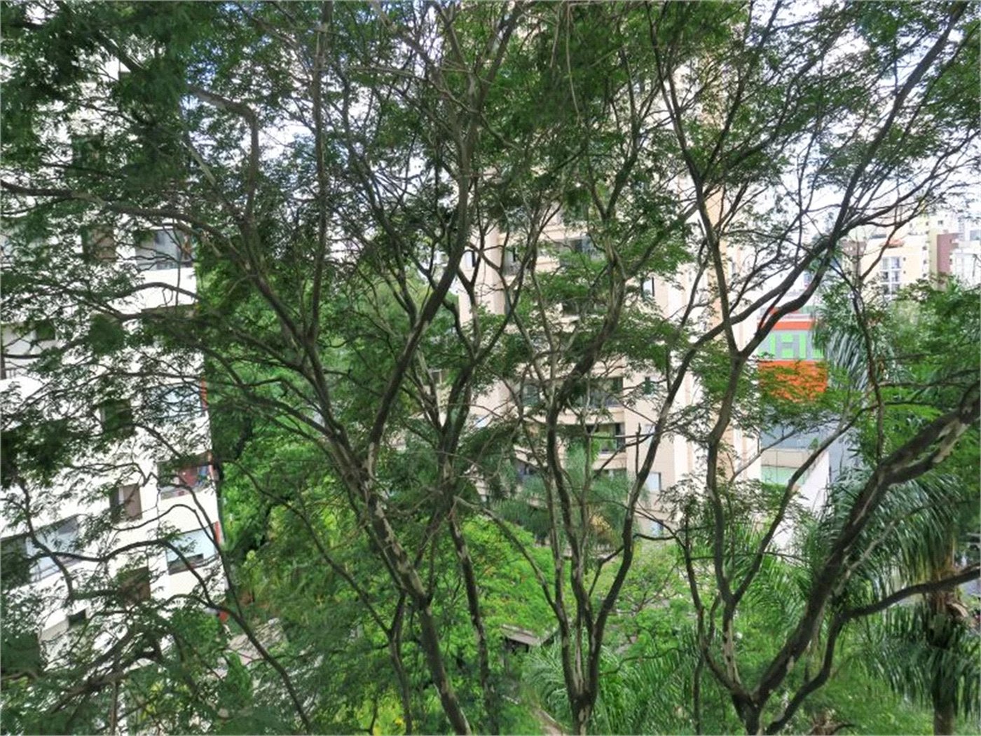 Apartamento à venda com 3 quartos, sendo 1 suíte, em Vila Andrade, São Paulo, SP