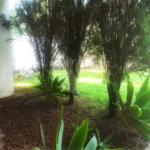 Casa à venda com 4 quartos, sendo 3 suítes, em Jardim Itaperi, Atibaia, SP