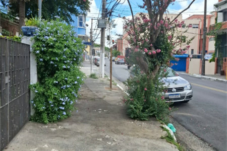 Apartamento à venda com 2 quartos em Vila Monumento, São Paulo, SP