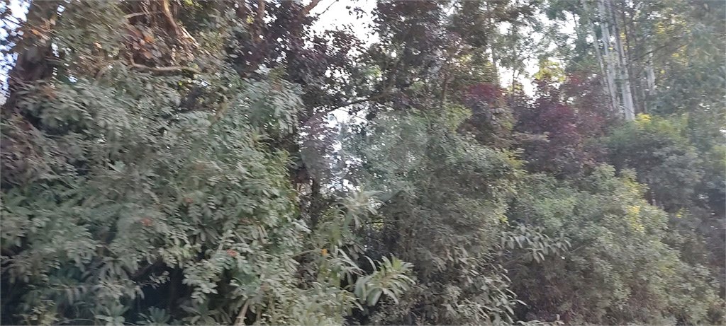 Terreno à venda em Luiz Fagundes, Mairiporã, SP