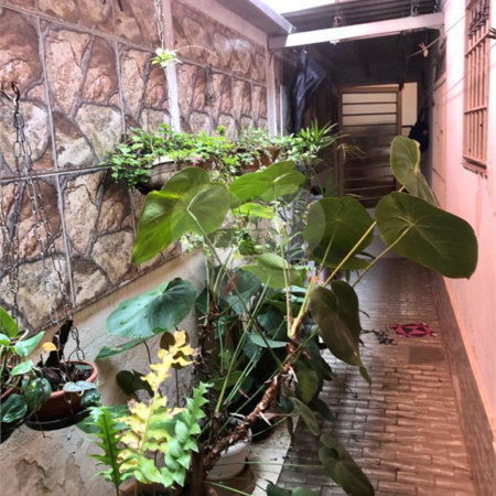 Casa Térrea à venda com 3 quartos em Cidade Domitila, São Paulo, SP