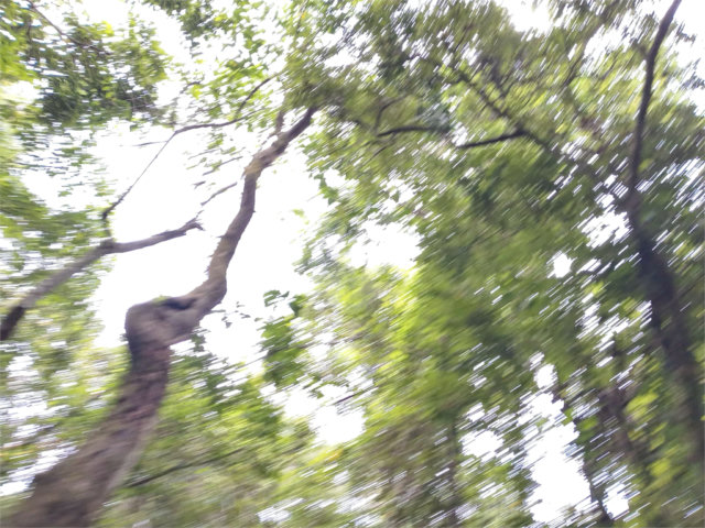 Terreno à venda no condomínio Cantareira, Mairiporã - SP
