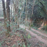 Terreno à venda em Serra da Cantareira, Mairiporã, SP
