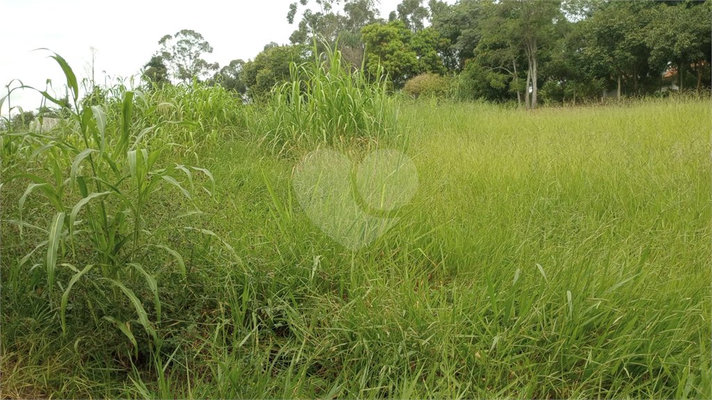 Terreno à venda em Pinheirinho, Vinhedo, SP