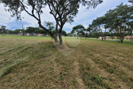 Loteamento Residencial no Condomínio Vila Pinhal do Broa