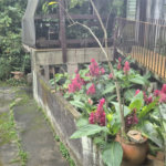 Terreno à venda ou para alugar em Horto, São Paulo, SP