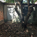 Terreno à venda ou para alugar em Perdizes, São Paulo, SP