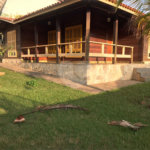 Casa à venda com 3 quartos, sendo 1 suíte, no condomínio Zuleika Jabour, Salto - SP