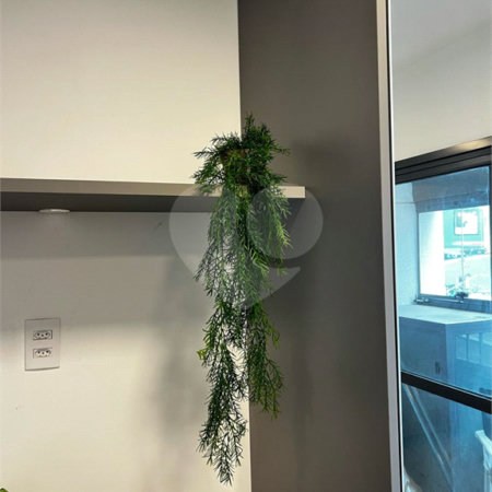 Apartamento à venda em Tucuruvi, São Paulo, SP