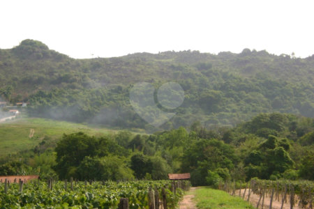 Área de Terra à venda em Colinas do Mosteiro de Itaici, Indaiatuba, SP