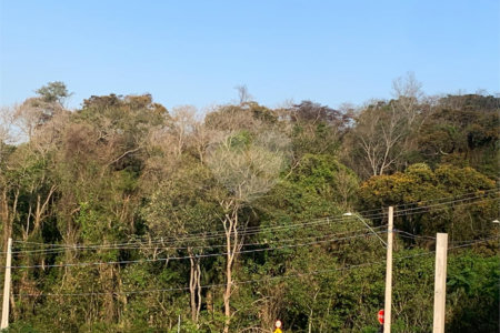 Casa à venda no condomínio Reserva São Nicolau, Atibaia - SP