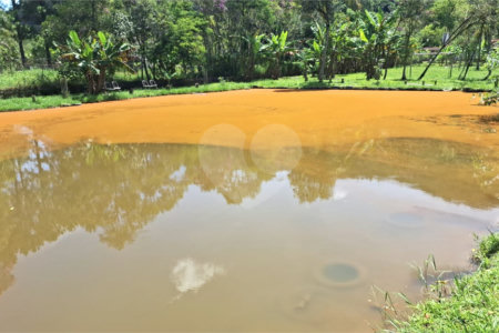 Chácara à venda com 4 quartos, sendo 1 suíte, em Taiaçupeba, Mogi das Cruzes, SP
