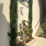 Casa com 3 Quartos e 3 banheiros 2 vagas à Venda, 149 m² no Ipiranga Estação Alto do Ipiranga, Terminal Sacomã, Estação Sacomã.Aceita e estuda Permuta.