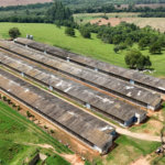 Chácara à venda com 3 quartos, sendo 1 suíte, em Cercadinho, Alambari, SP
