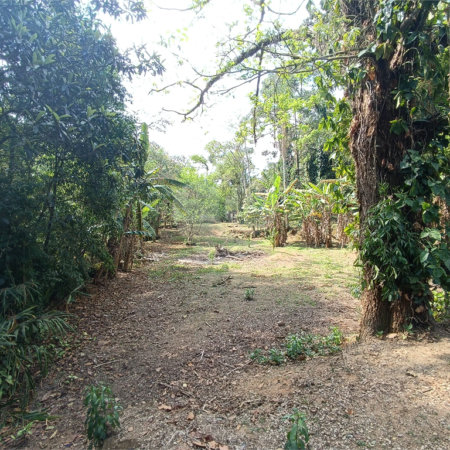 Chácara à venda com 4 quartos em Jardim Guaçu, São Roque, SP
