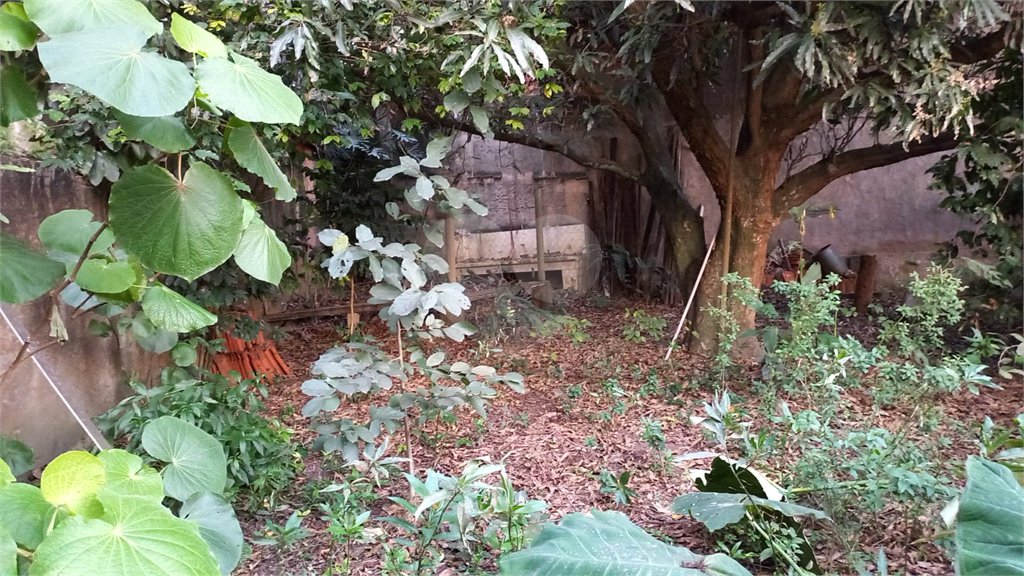 Casa à venda com 4 quartos, sendo 2 suítes, em Jardim São Bento, São Paulo, SP