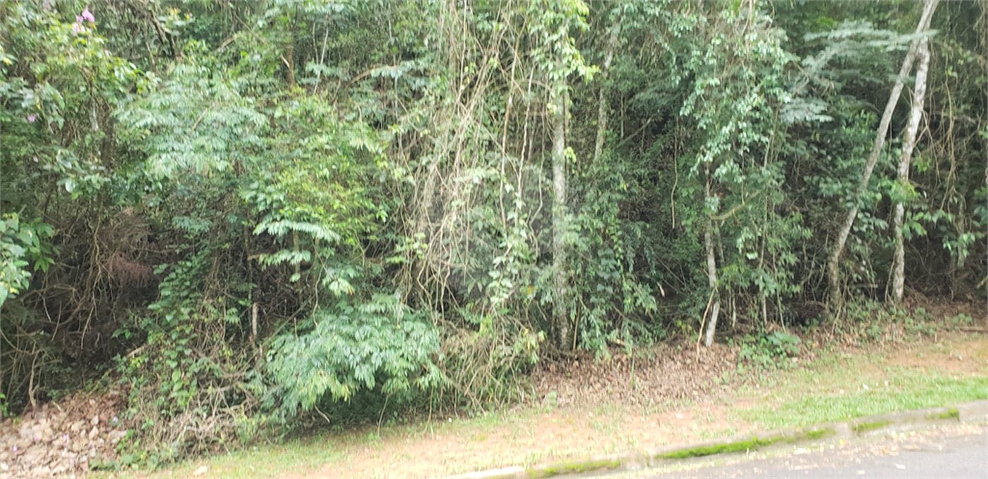 Terreno à venda no condomínio Alpes da Cantareira, Mairiporã - SP