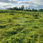 Terreno à venda em Área Rural de Guareí, Guareí, SP