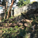 Terreno à venda em Horto, São Paulo, SP