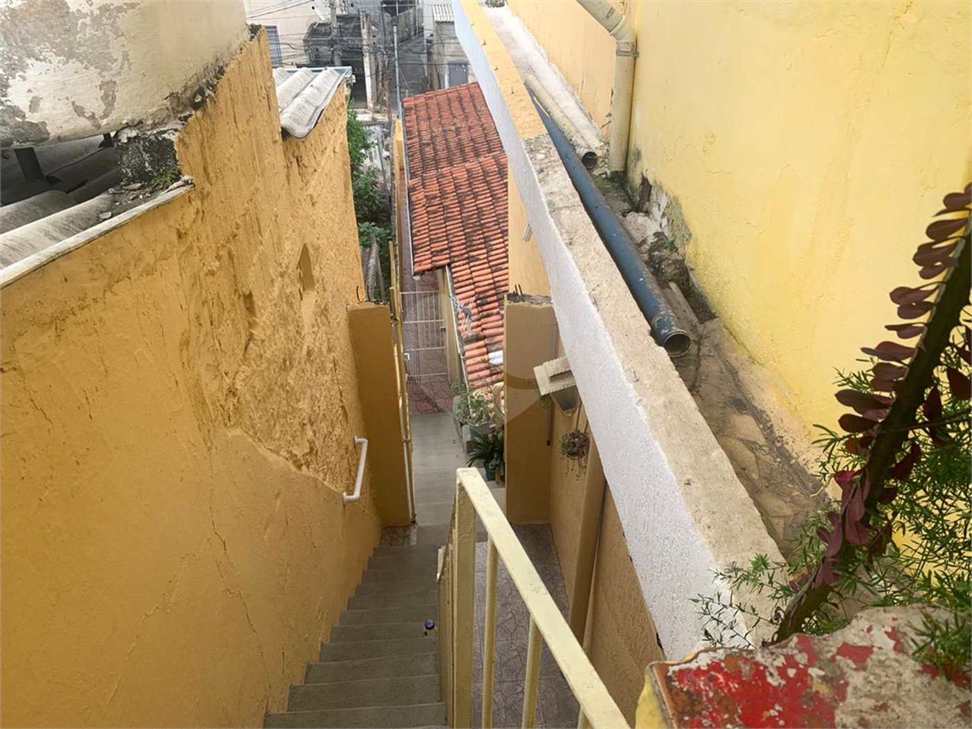Casa Térrea à venda com 1 suíte em Vila Nova Cachoeirinha, São Paulo, SP