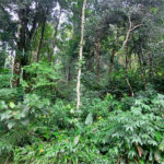 Terreno à venda no condomínio Sausalito, Mairiporã - SP