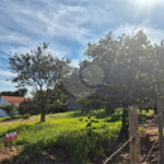 Terreno à venda em Chácaras São Bento, Valinhos, SP