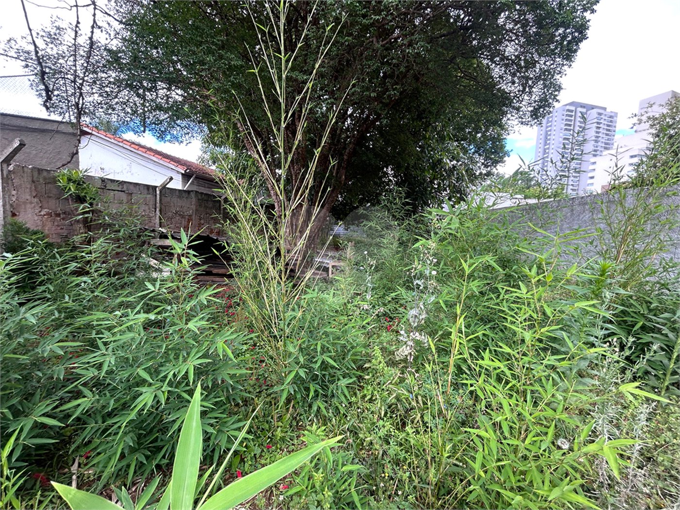 Terreno à venda em Jardim Hípico, São Paulo, SP