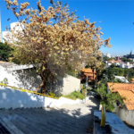 Casa à venda com 3 quartos em Sumarezinho, São Paulo, SP