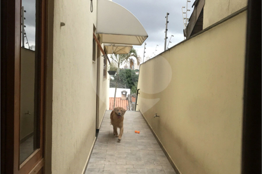 Sobrado à venda com 3 suítes em Mandaqui, São Paulo, SP