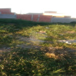 Terreno à venda em Parque Residencial Sabiás, Indaiatuba, SP