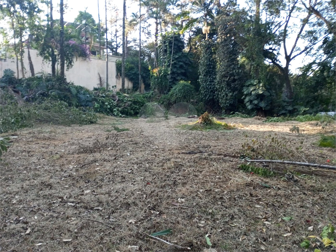 Terreno à venda com 1 suíte em Alto da Boa Vista, São Paulo, SP