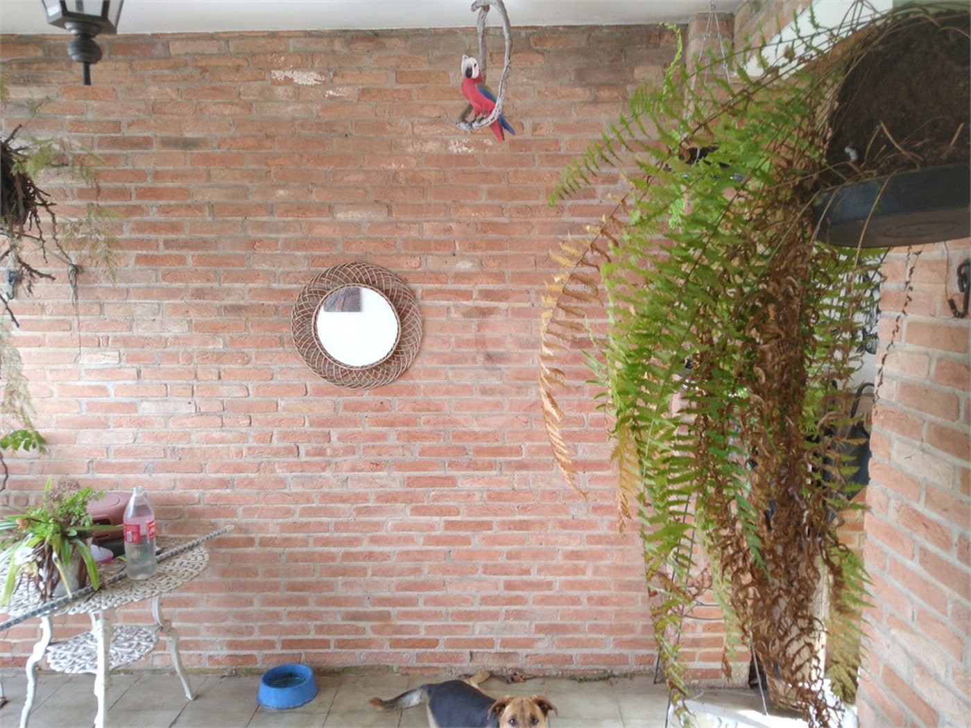 Sobrado à venda com 3 quartos em Tremembé, São Paulo, SP