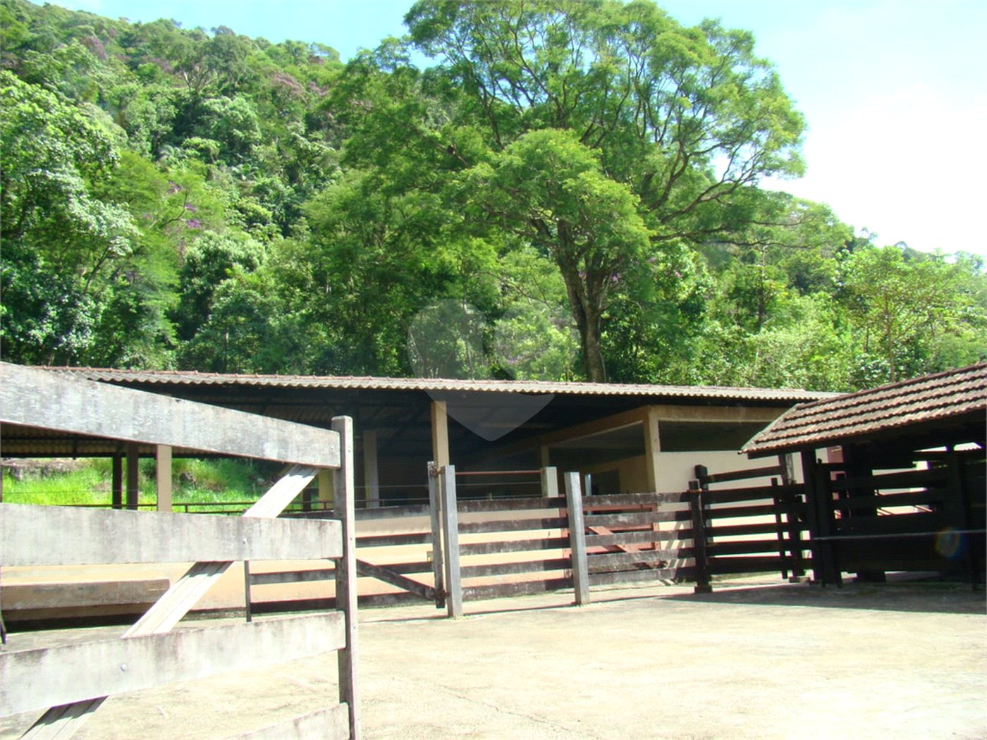 Fazenda à venda com 7 quartos, sendo 3 suítes, em Professor Souza, Casimiro de Abreu, RJ