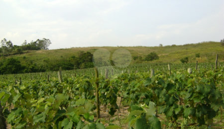 Área de Terra à venda em Colinas do Mosteiro de Itaici, Indaiatuba, SP